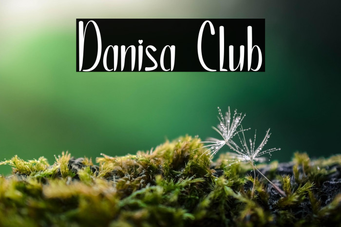 Danisa Club Example 3