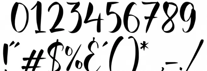 Danisha Font OTHER CHARS