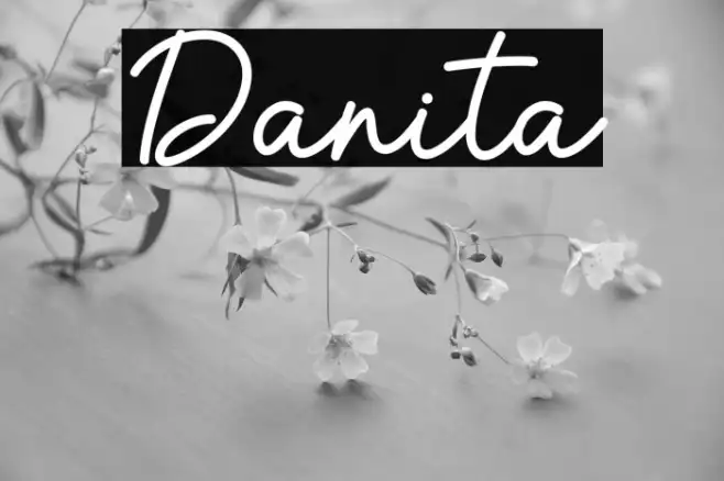 Danita Example 2