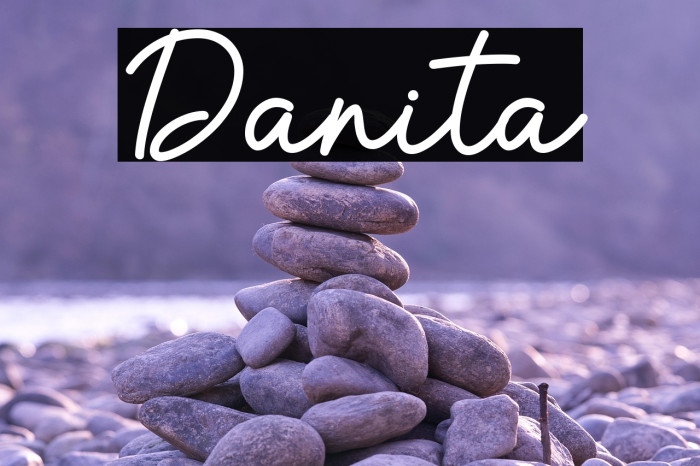 Danita Example 3