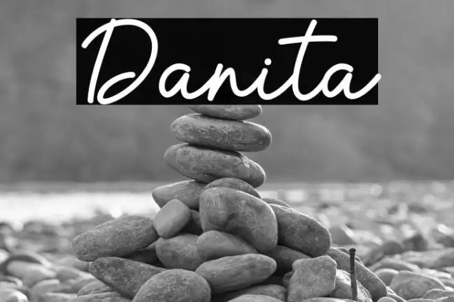 Danita Example 3