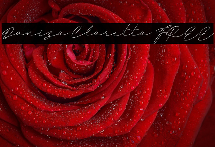 Daniza Claretta FREE Example 2