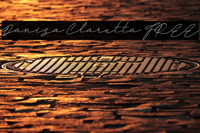 Daniza Claretta FREE Example 3