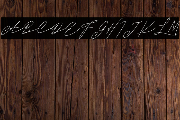 DanizaClarettaFREE Example 1