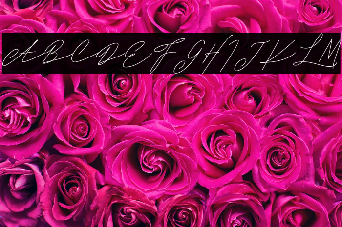 DanizaClarettaFREE Example 2