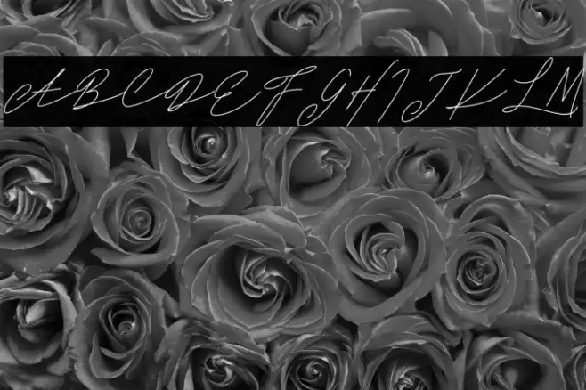 DanizaClarettaFREE Fuentes examples