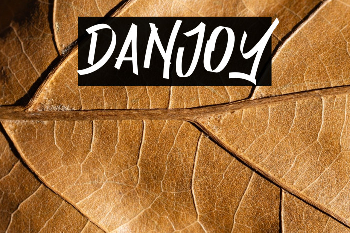 Danjoy Example 3