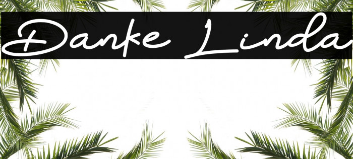 Danke Linda Font examples