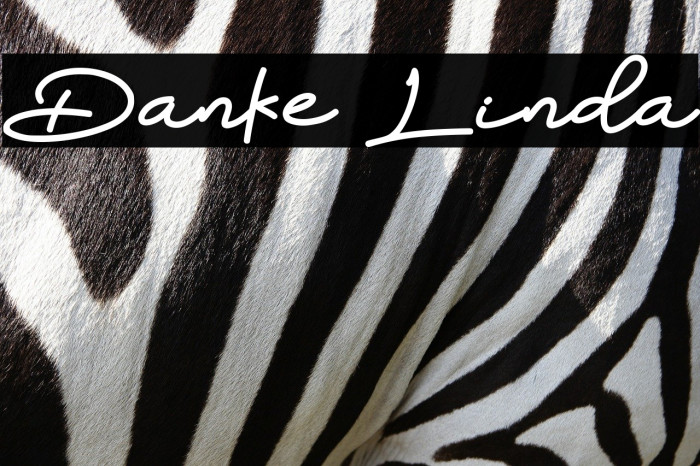 Danke Linda Font examples