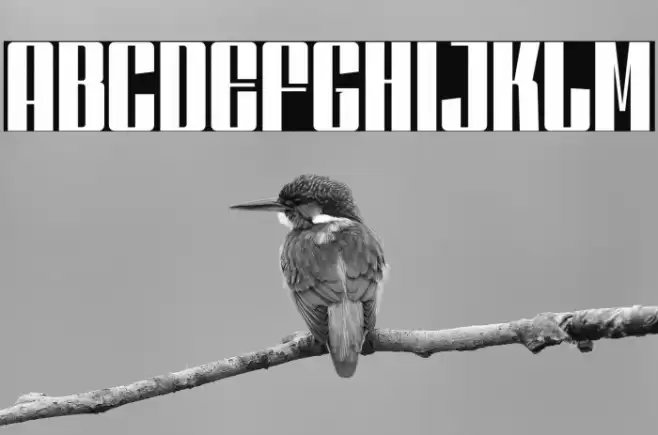 DankfieldRegularDEMO Font examples