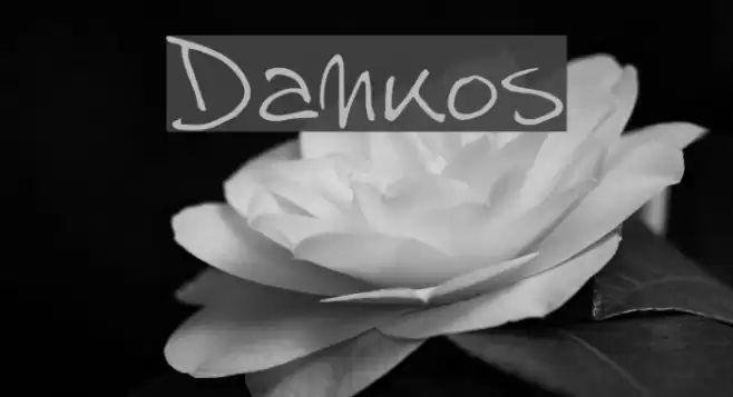 Dankos Font examples