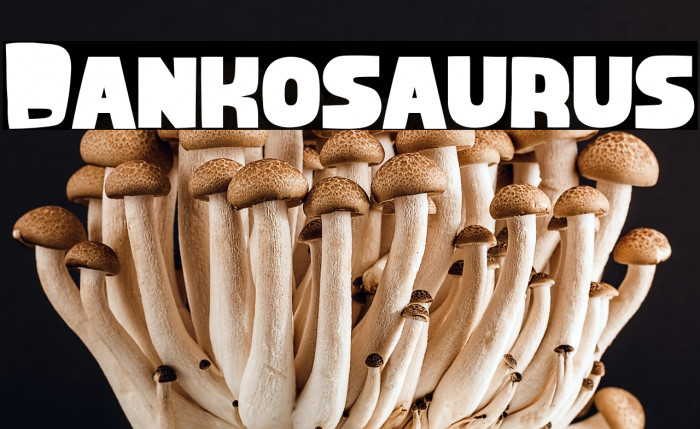 Dankosaurus Example 3