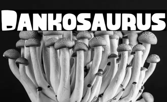 Dankosaurus Caratteri examples