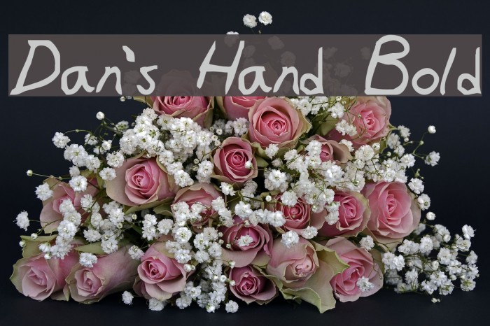 Dan's Hand Bold Font examples