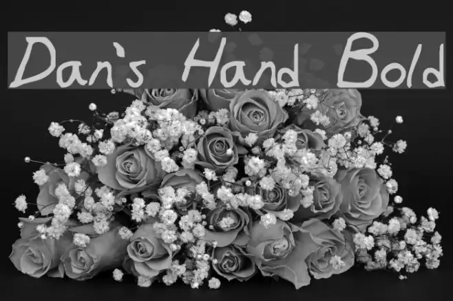 Dan's Hand Bold Example 1
