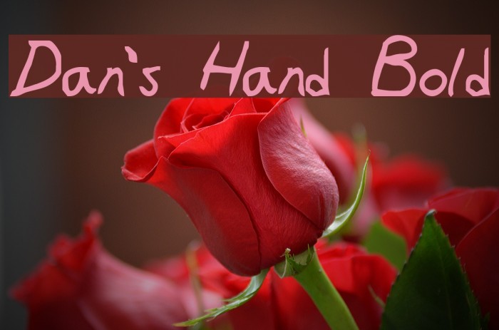 Dan's Hand Bold Font examples