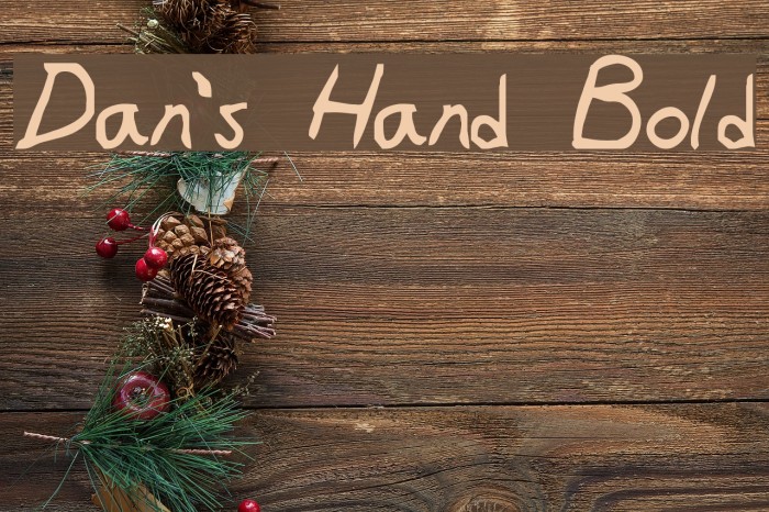 Dan's Hand Bold Font examples