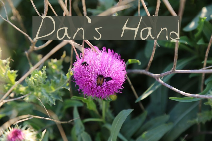 Dan's Hand Font examples