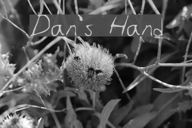 Dan's Hand Example 1