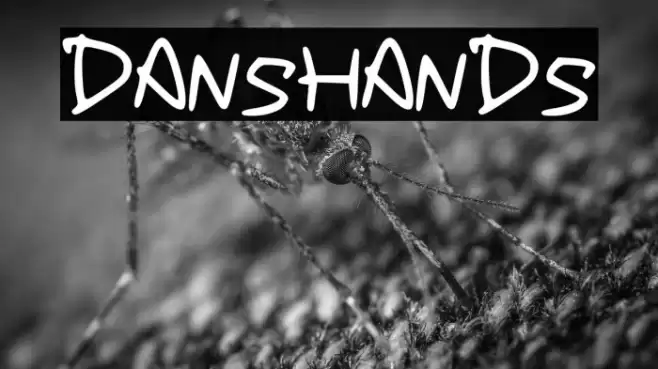 DansHands Font examples