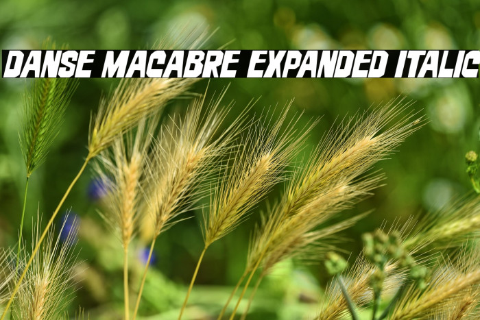 Danse Macabre Expanded Italic Example 1