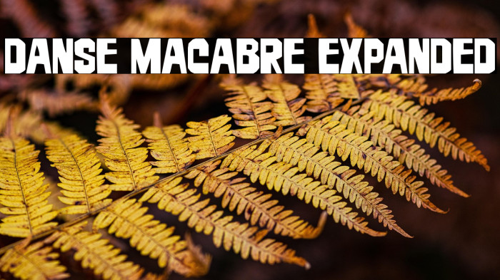 Danse Macabre Expanded Example 2