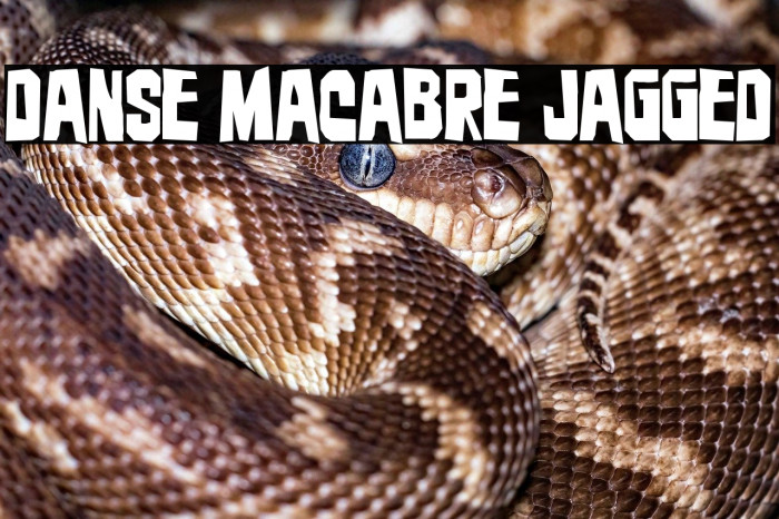 Danse Macabre Jagged Example 3