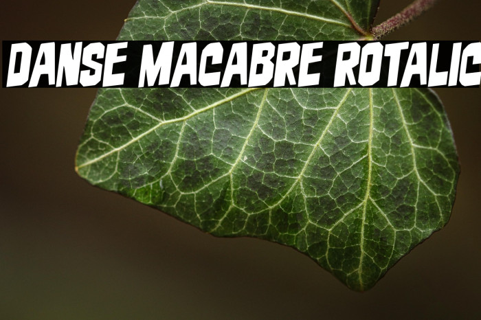Danse Macabre Rotalic Example 2