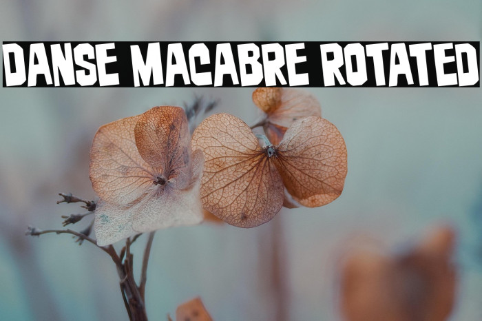 Danse Macabre Rotated Example 2