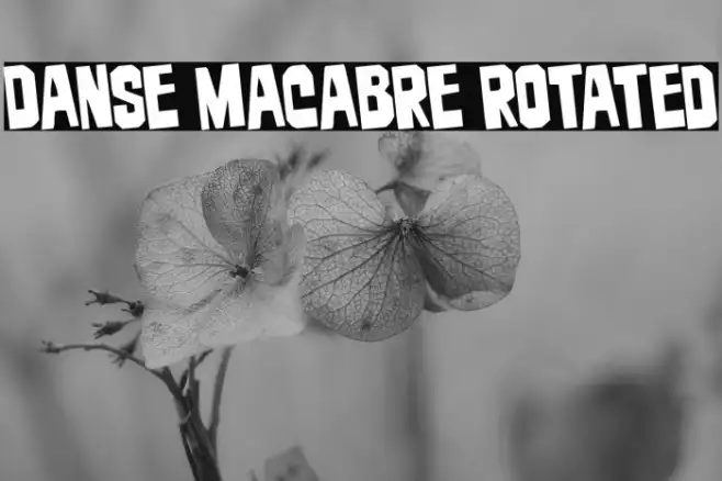Danse Macabre Rotated Example 2