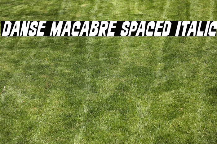 Danse Macabre Spaced Italic Example 1