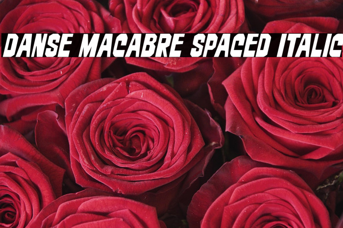 Danse Macabre Spaced Italic Example 2