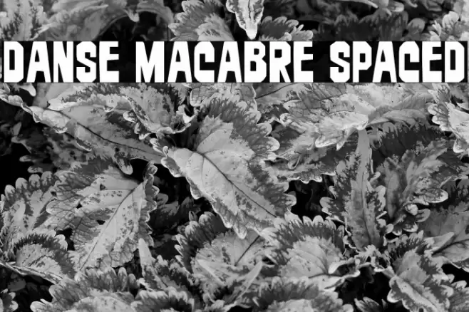 Danse Macabre Spaced Font examples