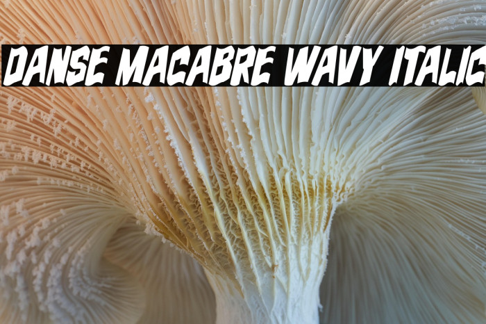 Danse Macabre Wavy Italic Example 1