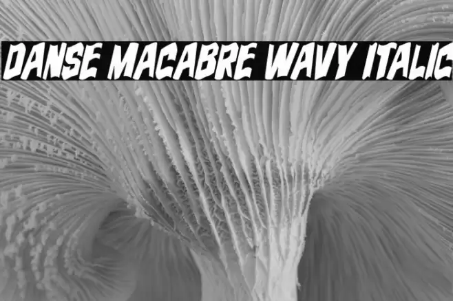 Danse Macabre Wavy Italic Font examples