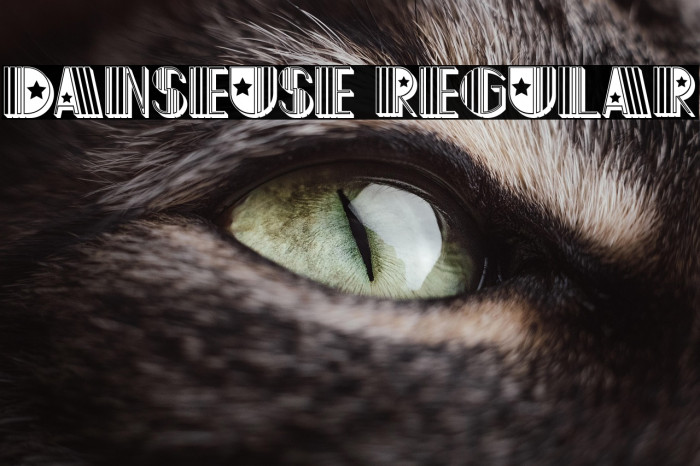 Danseuse Regular Example 2