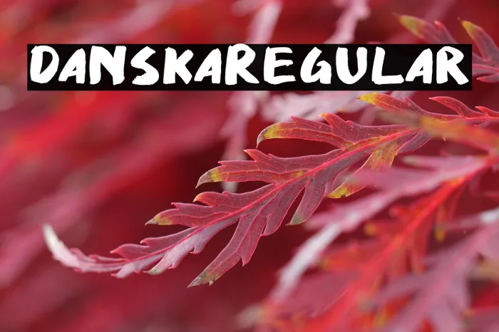 Danska Regular Example 1