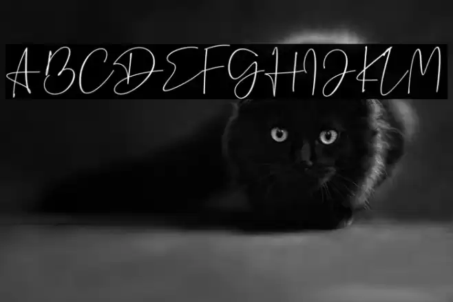 Dantina Font examples