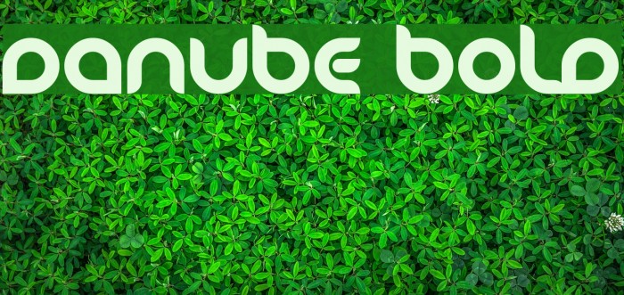 Danube Bold Font examples