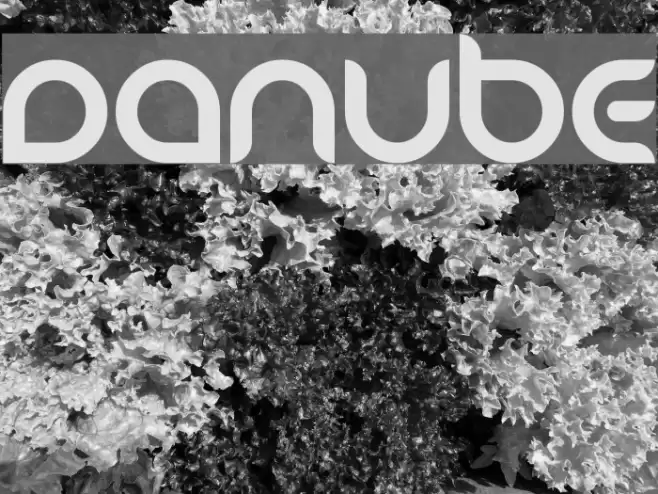 Danube Font examples