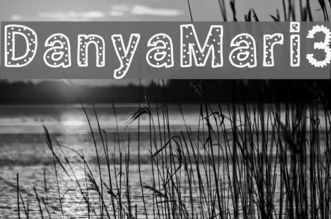 DanyaMari3 Example 2