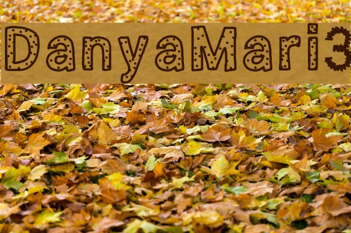 DanyaMari3 Font examples