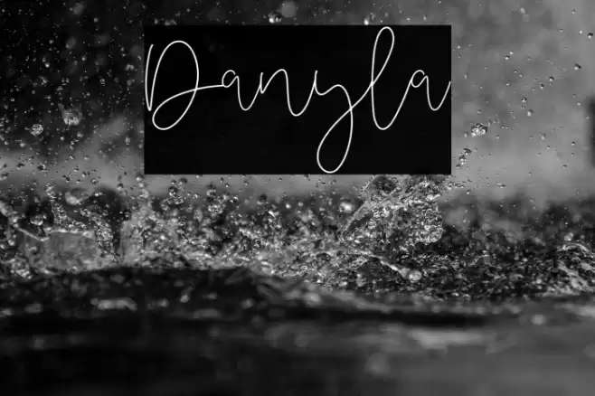 Danyla Font examples