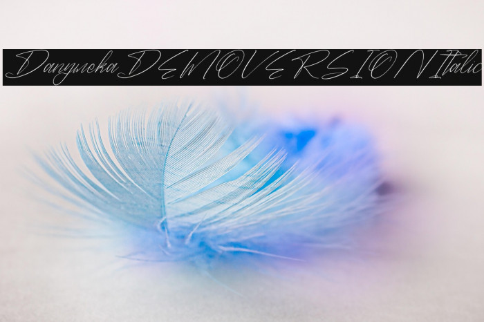 Danymeka DEMO VERSION Italic Example 1