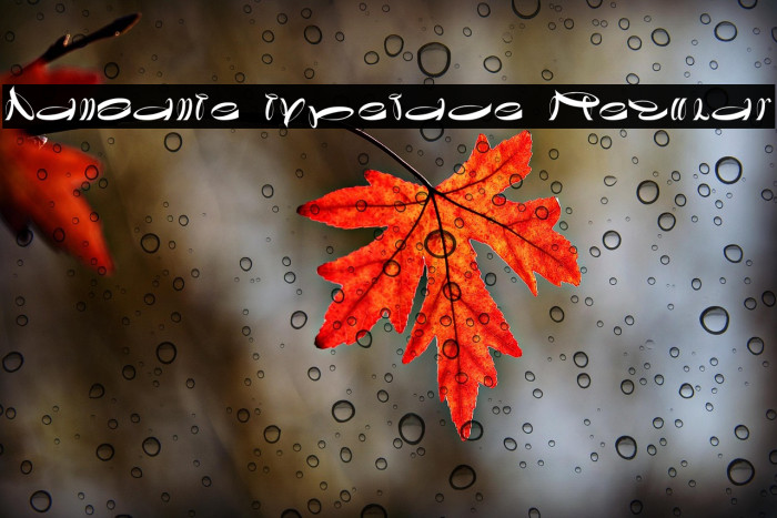 Danzante typeface Regular Example 3