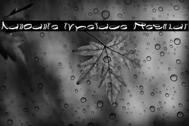 Danzante typeface Regular Font examples