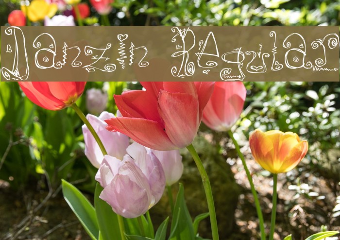 Danzin Regular Font examples