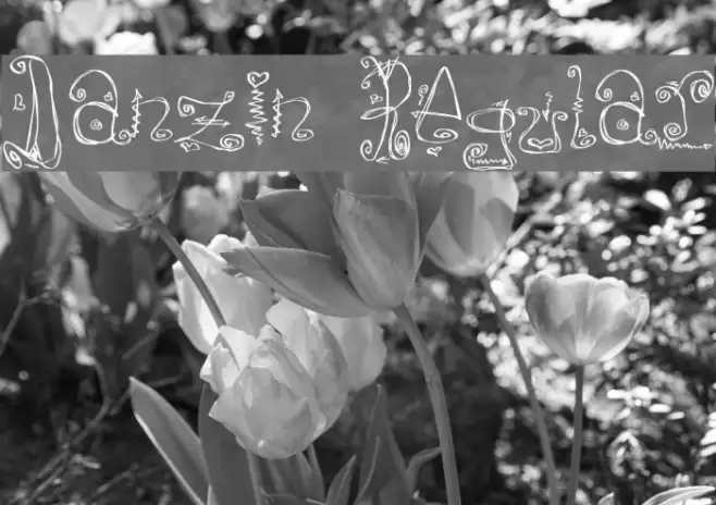 Danzin Regular Example 3