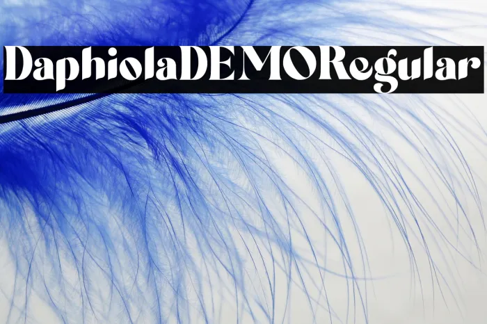 Daphiola DEMO Regular Example 1