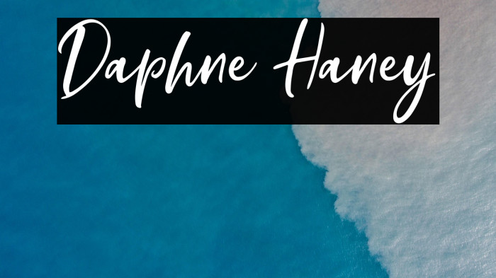 Daphne Haney Example 2